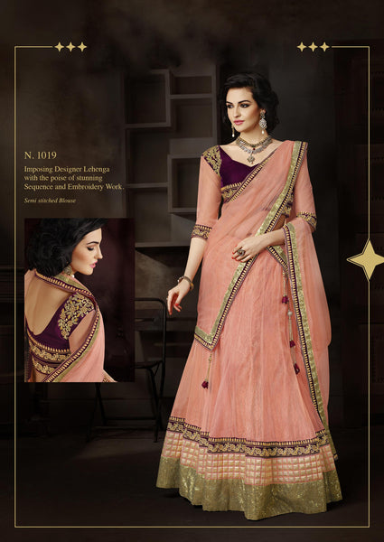 Peach Color Net Lehenga Choli