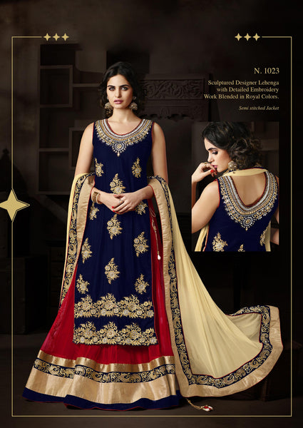 Red Color Net Lehenga Choli