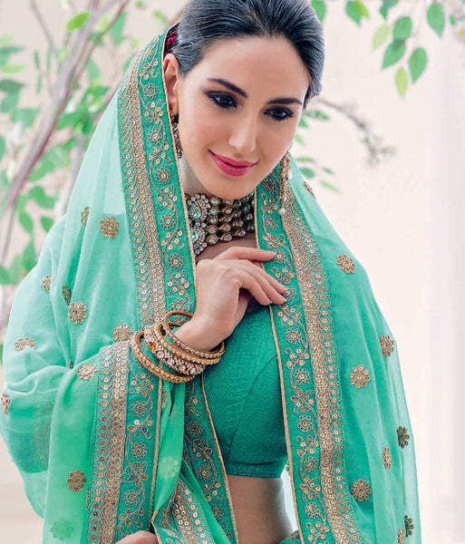 Pista Green Chiffon Embroidery Work Designer saree