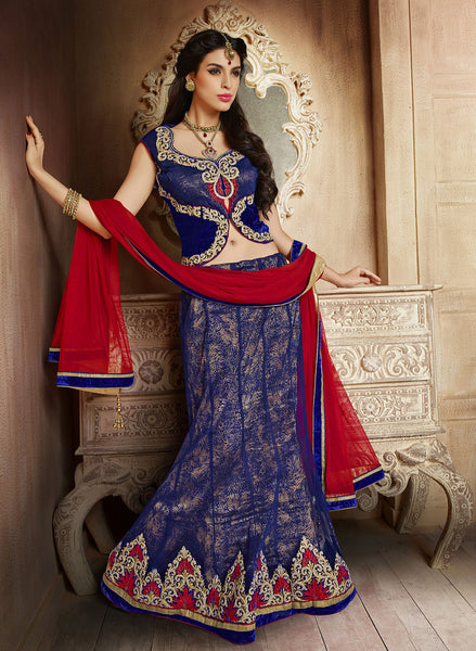 Neavy Blue and Red designer wedding lehenga with heavy jal work and designer blouse