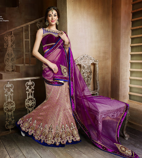 Charismetic Desiger lehenga choli with stunning Embroidery and Pretty Dupatta