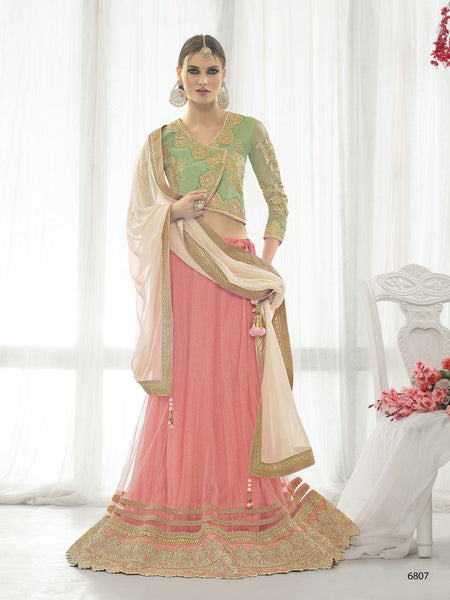Elegant Peach Color Net Cut Work Lehenga Choli
