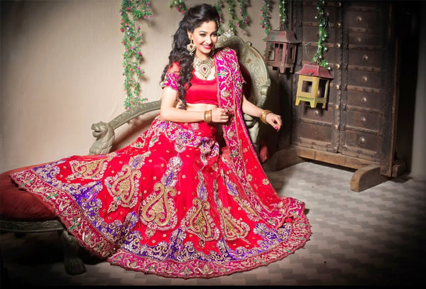 Red Net Embroidery Bridal Work Lehanga Choli