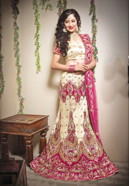 Beige Hand Work A Line Lehenga With Net Material